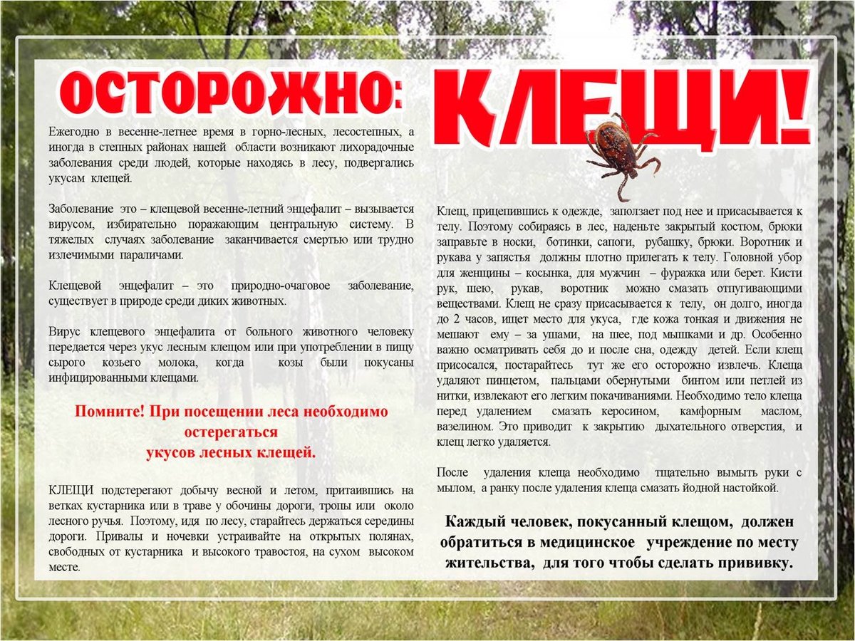 ПАМЯТКА 10